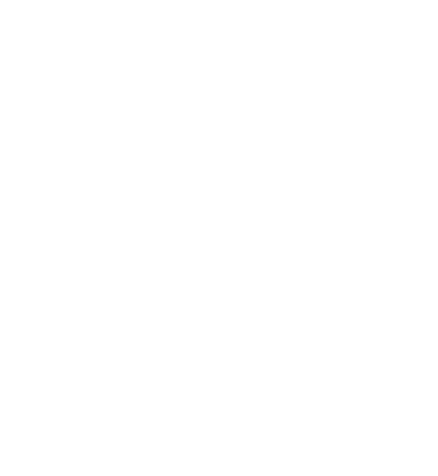 VFV white logo